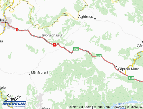 Mappa MICHELIN Păniceni - ViaMichelin