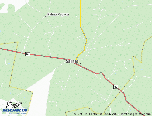 MICHELIN La Joya map - ViaMichelin