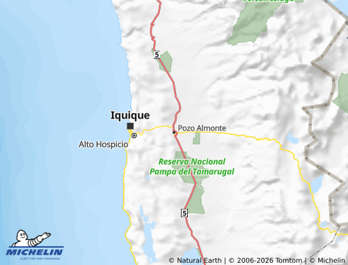 Mappa MICHELIN Tamarugal - ViaMichelin