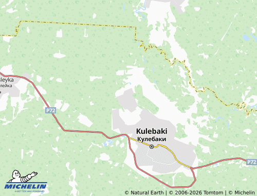 MICHELIN-Landkarte Murzitsy - ViaMichelin