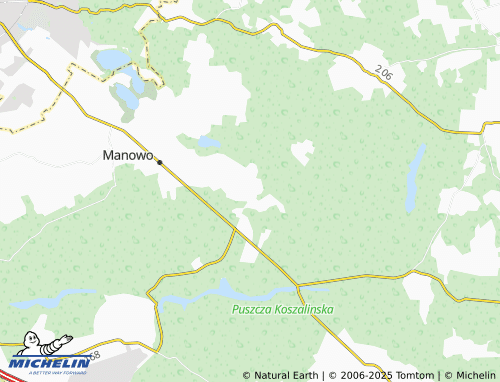 Carte MICHELIN Wyszewo - ViaMichelin