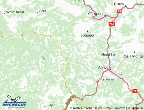 Mapa MICHELIN Poiana - ViaMichelin