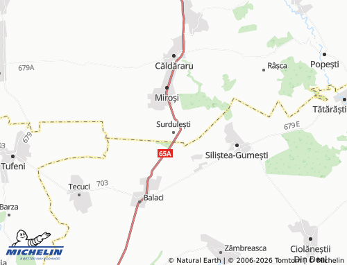 Mappa MICHELIN Surdulești - ViaMichelin