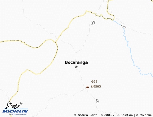 Mappa MICHELIN Nara - ViaMichelin