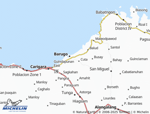 MICHELIN Domogdog map - ViaMichelin