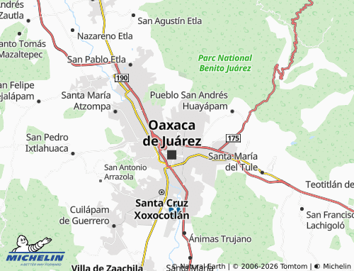 Carte MICHELIN El Papayo - ViaMichelin