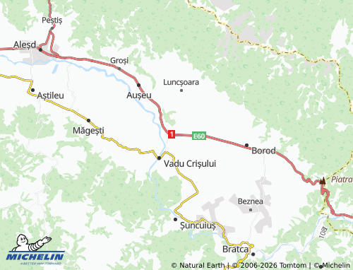 Kaart MICHELIN Topa de Criș - ViaMichelin