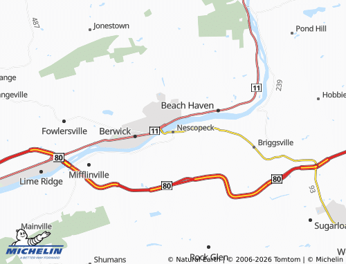 Carte MICHELIN Nescopeck - ViaMichelin
