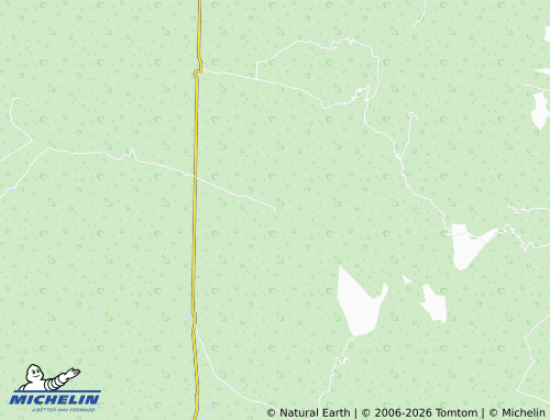 Mappa MICHELIN San Antonio de Coronados - ViaMichelin