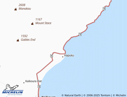 MICHELIN Mangamaunu map - ViaMichelin