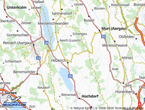 Mappa MICHELIN Hämikon - ViaMichelin