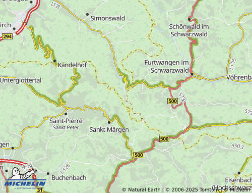 MICHELIN Wildgutach map - ViaMichelin