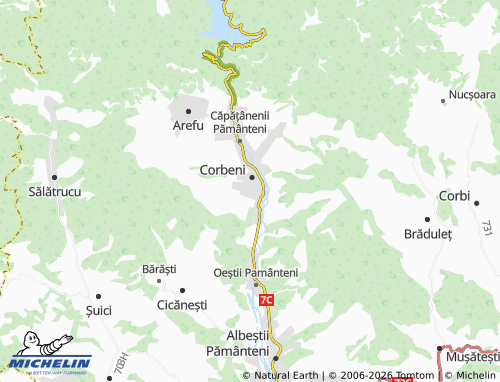 Carte MICHELIN Bucșenești - ViaMichelin