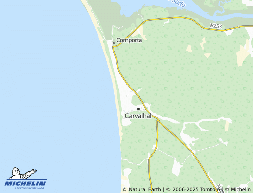 MICHELIN Brejos da Carregueira map - ViaMichelin
