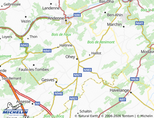 MICHELIN Ohey map - ViaMichelin