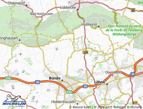 Mapa MICHELIN Randringhausen - ViaMichelin