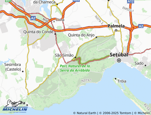 Mappa MICHELIN São Simão - ViaMichelin