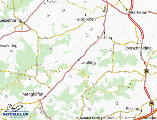 Mappa MICHELIN Leiblfing - ViaMichelin