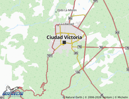 MICHELIN El Palmar map - ViaMichelin