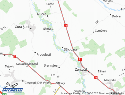 MICHELIN Sălcioara map - ViaMichelin