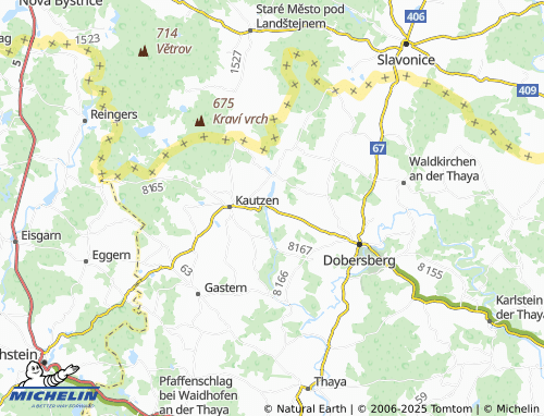 MICHELIN Tiefenbach map - ViaMichelin