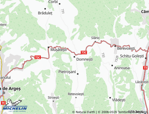 Mapa MICHELIN Domnești - ViaMichelin