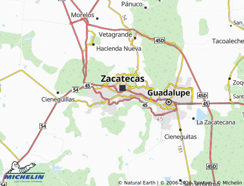 MICHELIN Flores Magón map - ViaMichelin