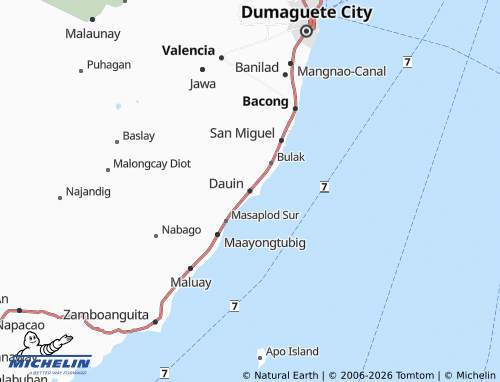 MICHELIN Dauin map - ViaMichelin