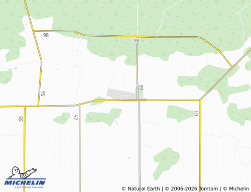 MICHELIN Infonavit map - ViaMichelin