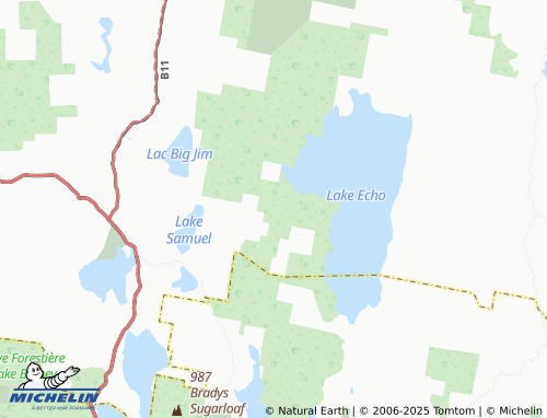 MICHELIN London Lakes map - ViaMichelin