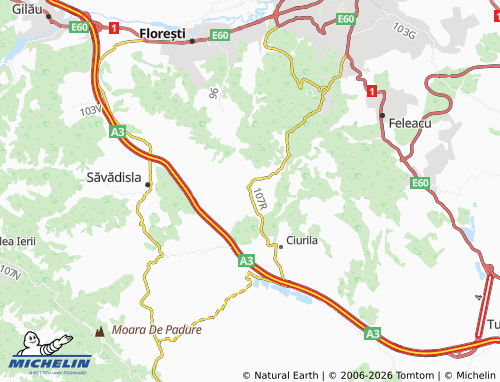 Mappa MICHELIN Sălicea - ViaMichelin