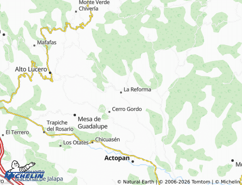 Mappa MICHELIN La Reforma - ViaMichelin