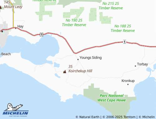 MICHELIN Youngs Siding map - ViaMichelin