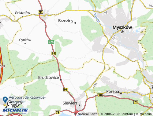 MICHELIN Pińczyce map - ViaMichelin