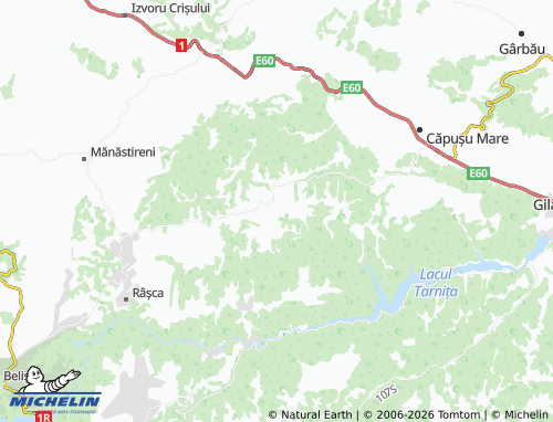 MICHELIN Dângău Mare map - ViaMichelin