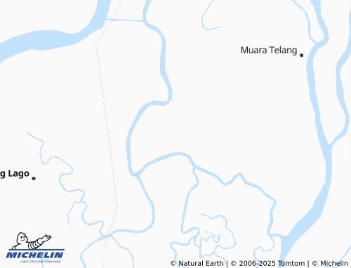 MICHELIN Telang Karya map - ViaMichelin
