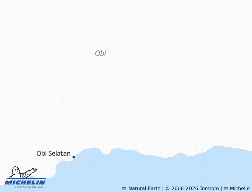 MICHELIN-Landkarte Fluk - ViaMichelin