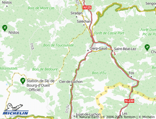 Mappa MICHELIN Binos - ViaMichelin