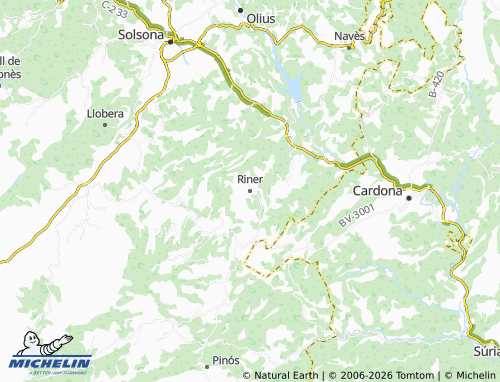 Carte MICHELIN Riner - ViaMichelin