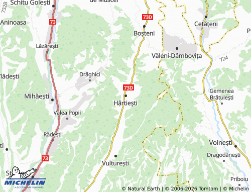 MICHELIN Hârtiești map - ViaMichelin