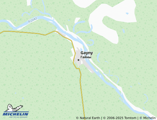 MICHELIN Gayny map - ViaMichelin