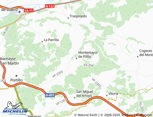 MICHELIN Montemayor de Pililla map - ViaMichelin