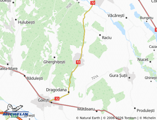MICHELIN Picior De Munte map - ViaMichelin