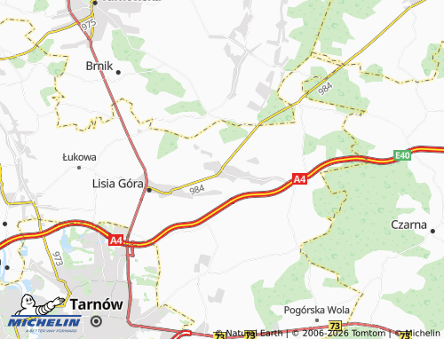 MICHELIN Stare Żukowice map - ViaMichelin