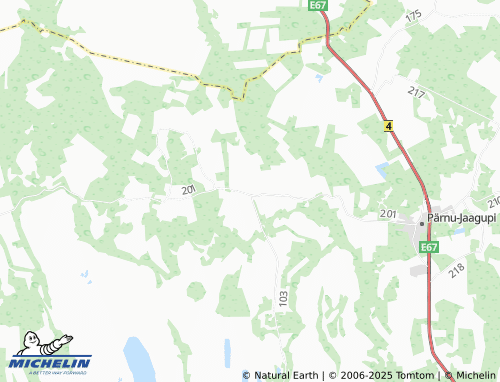 MICHELIN Vahenurme map - ViaMichelin