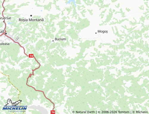 MICHELIN Valea Negrilesii map - ViaMichelin