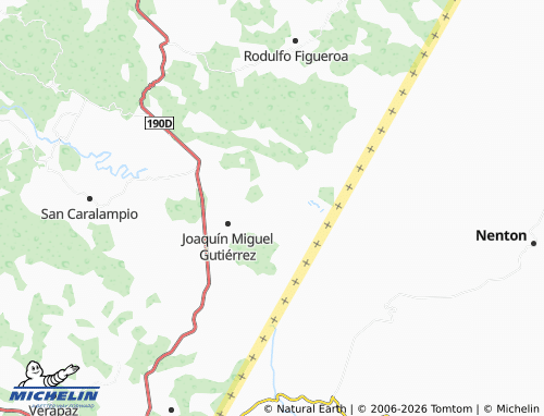 Mappa MICHELIN Nuevo Llano Grande - ViaMichelin