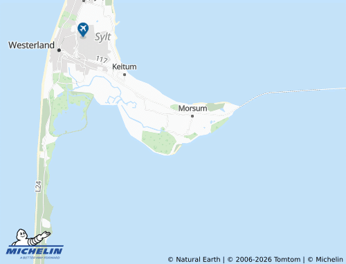 MICHELIN Wall map - ViaMichelin