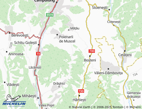 MICHELIN-Landkarte Valea Îndărăt - ViaMichelin