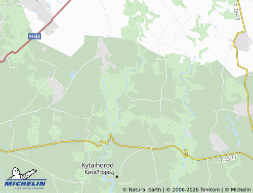 MICHELIN Heletyna map - ViaMichelin